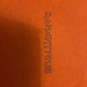 A vintage dark orange hoodie with text, brand is “WINWIN”, size (large)